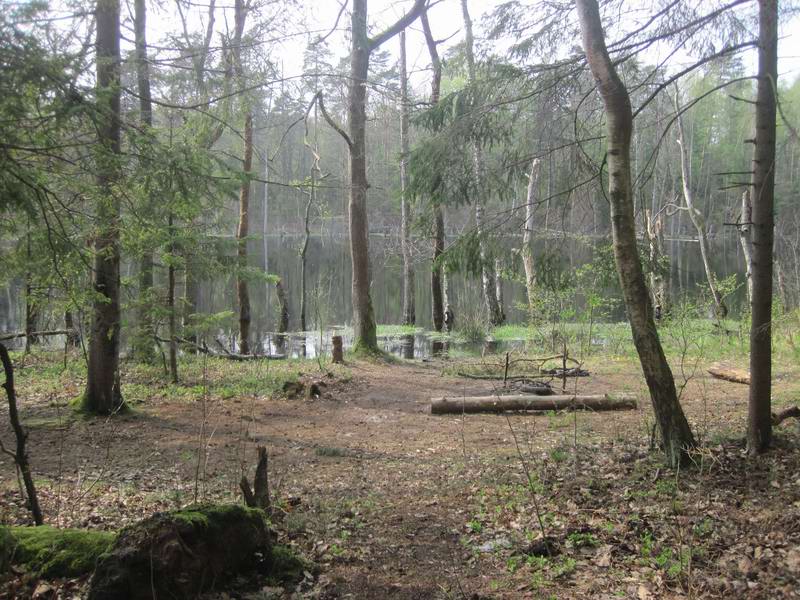 Покидаем озеро Узкое