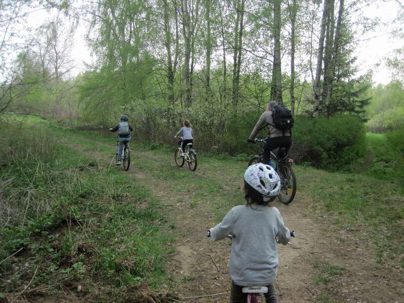 Выезжаем из леса