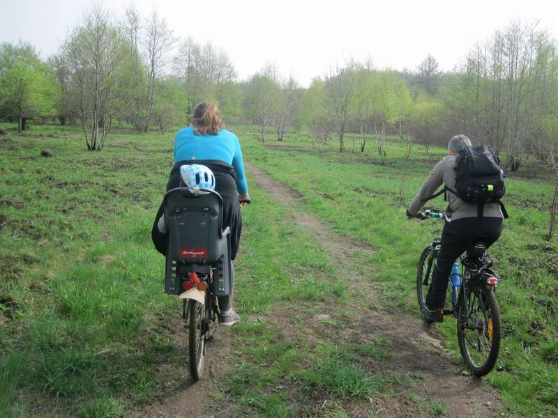 Едем вдоль опушки леса Зелёного