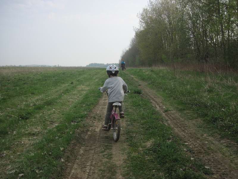 Едем вдоль опушки леса Зелёного