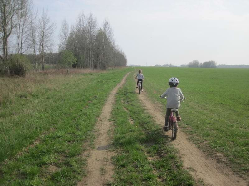 Едем по полю