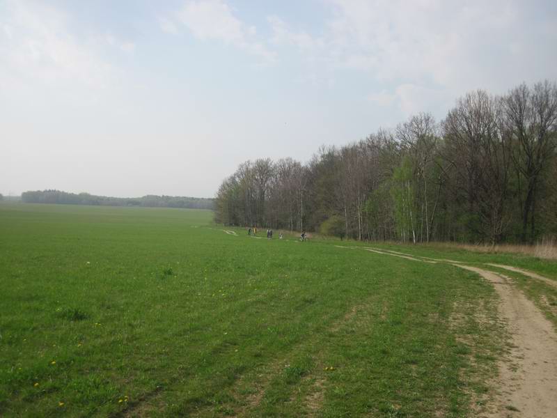 Едем полями