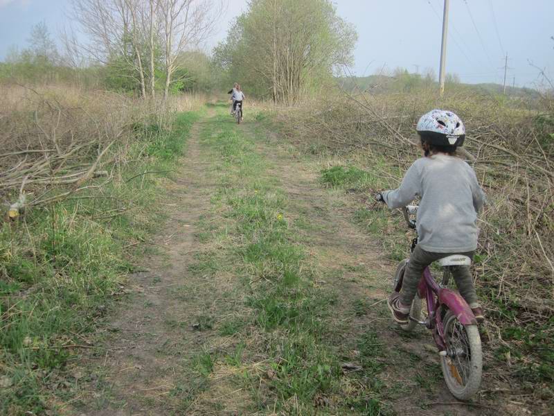 Участок Кузнецкое - Холмогоровка