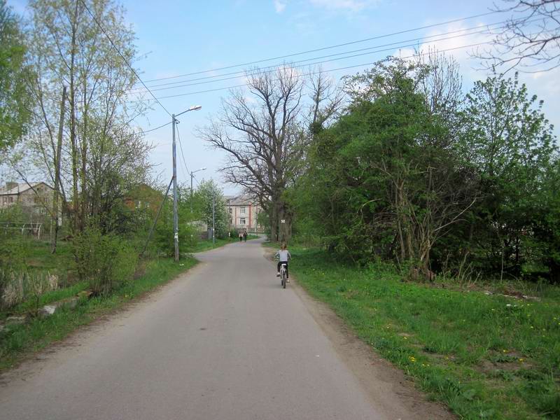 Едем по Холмогоровке