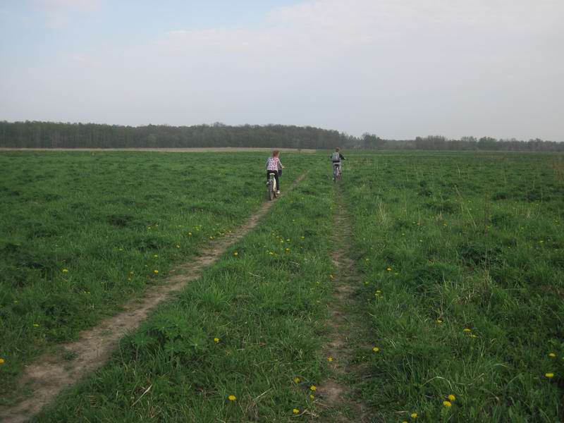 Полевая дорога Холмогоровка - Чкаловск
