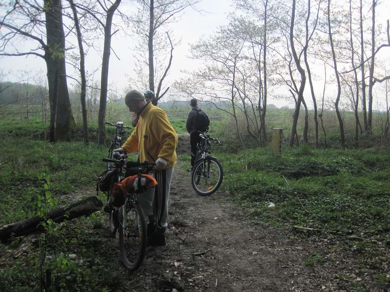 Въезд в лес