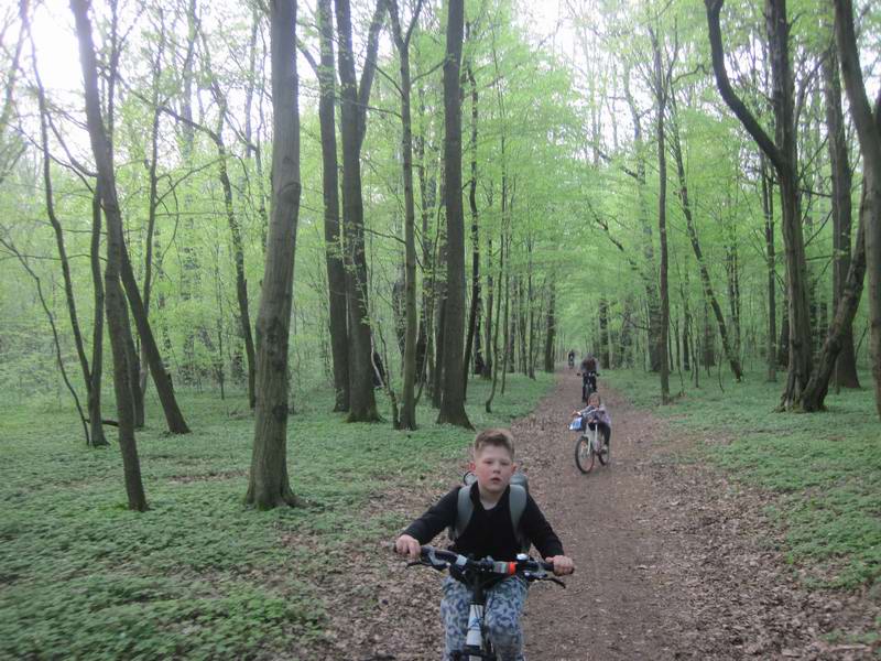 Едем по шикарной лесной тропинке