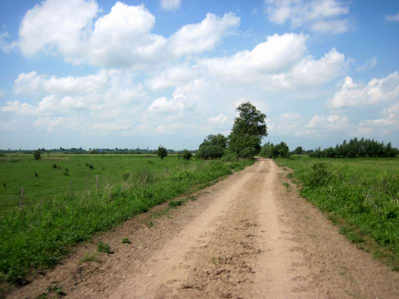 Дорога на Ясное