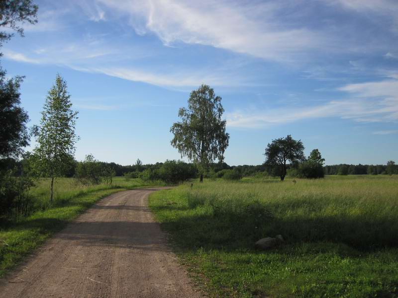 Прекрасная грунтовка