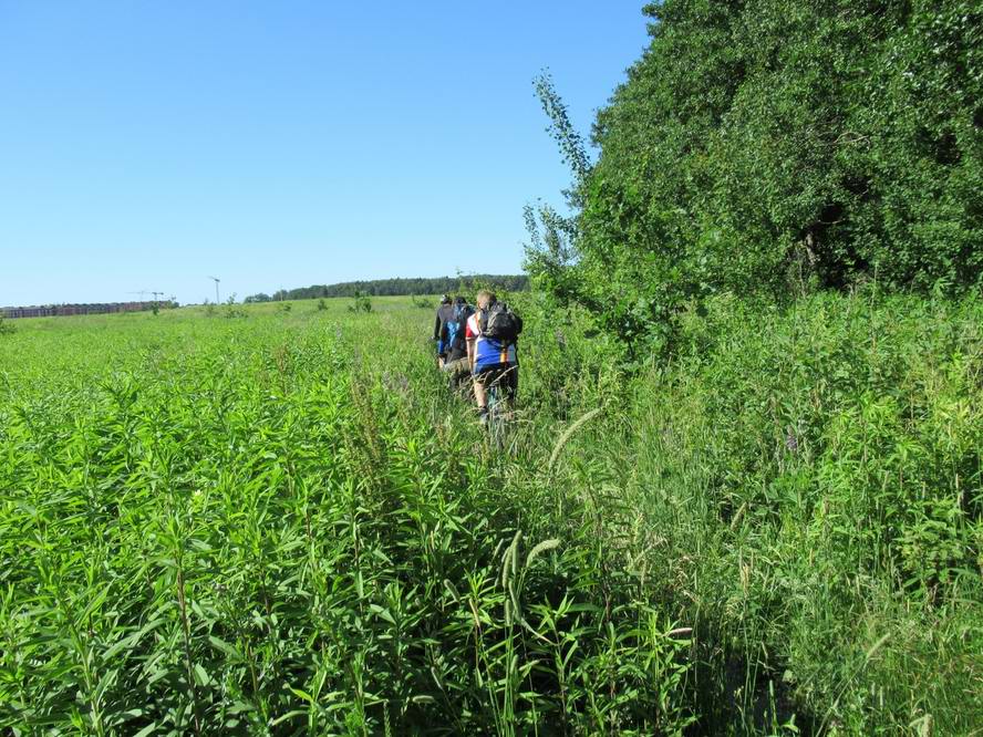 по кабэтэшному