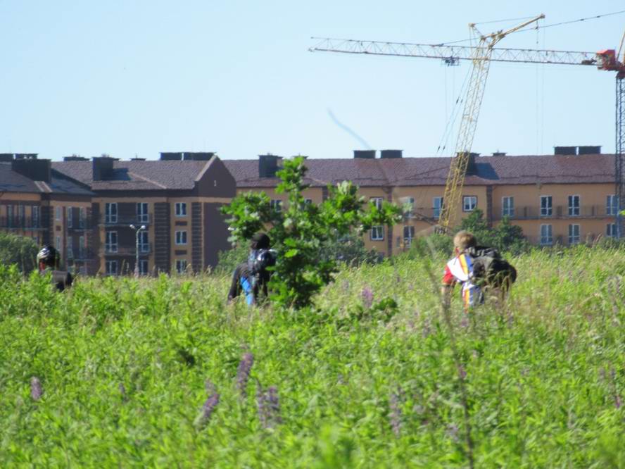 на подкате к Н.Холмогоровке. грунтовка имени КБТ