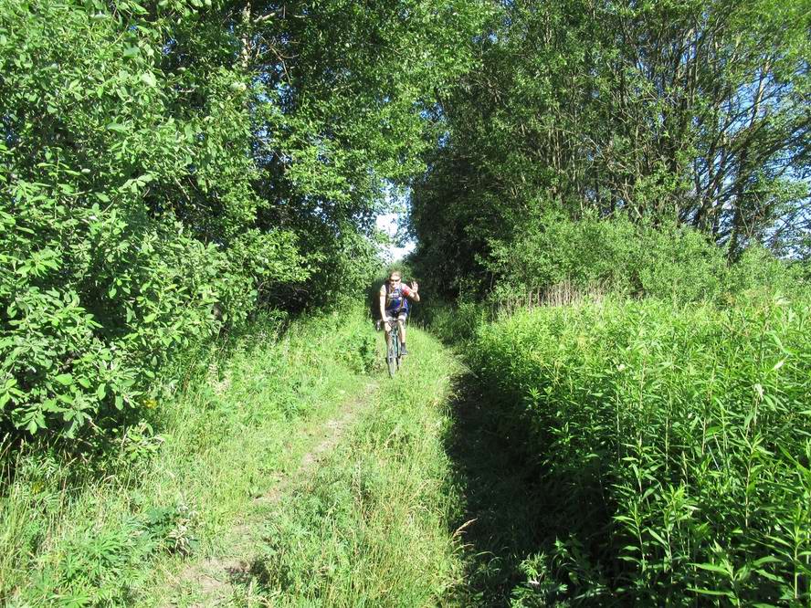 дорожка из Холмогоровки в Кузнецкое