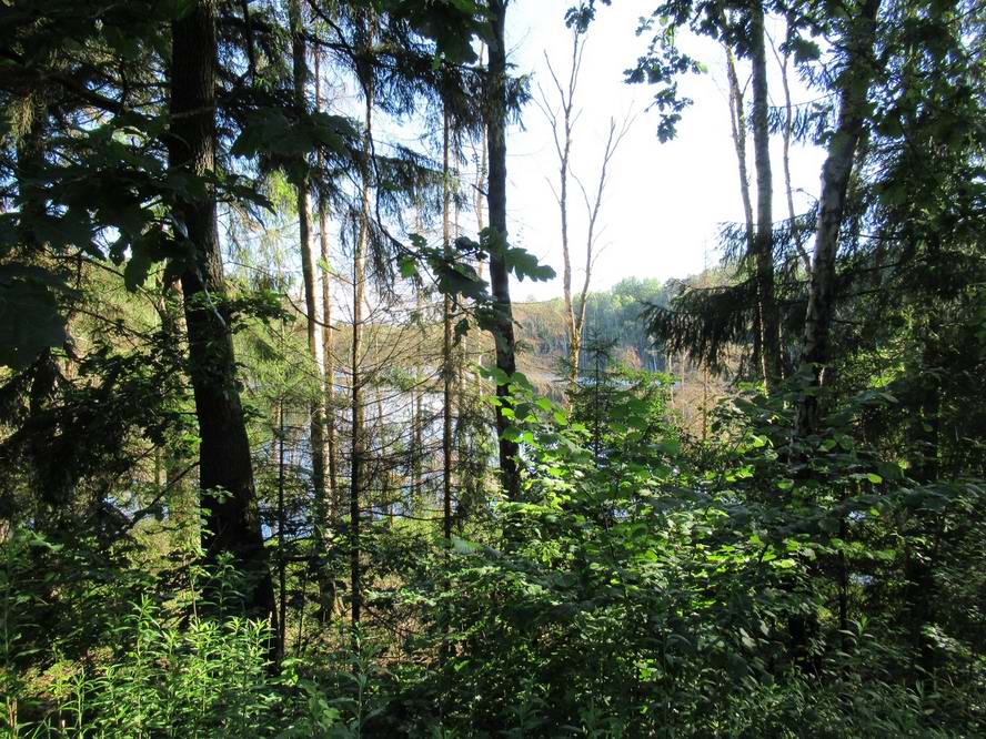 оз.Узкое из окна велика