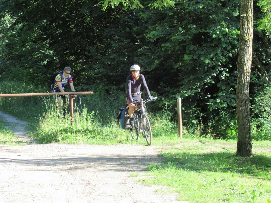 выезжаем из Зелёного леса