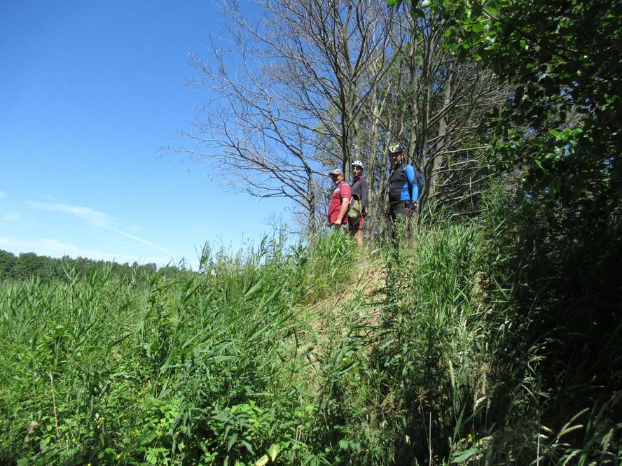 три богатыря