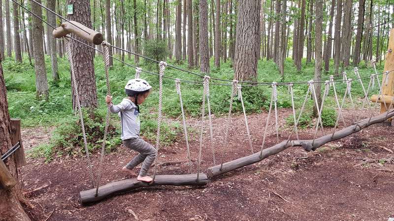 Илиана преодолевает препятствие