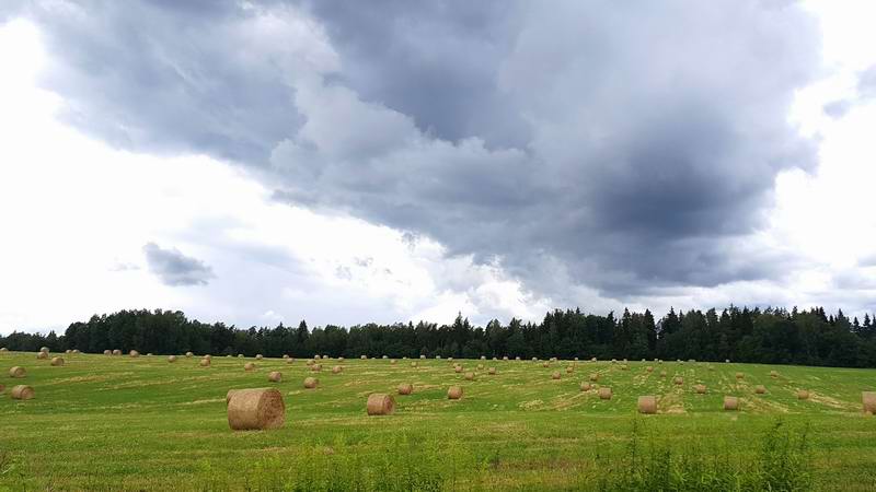 Пейзаж с тюками
