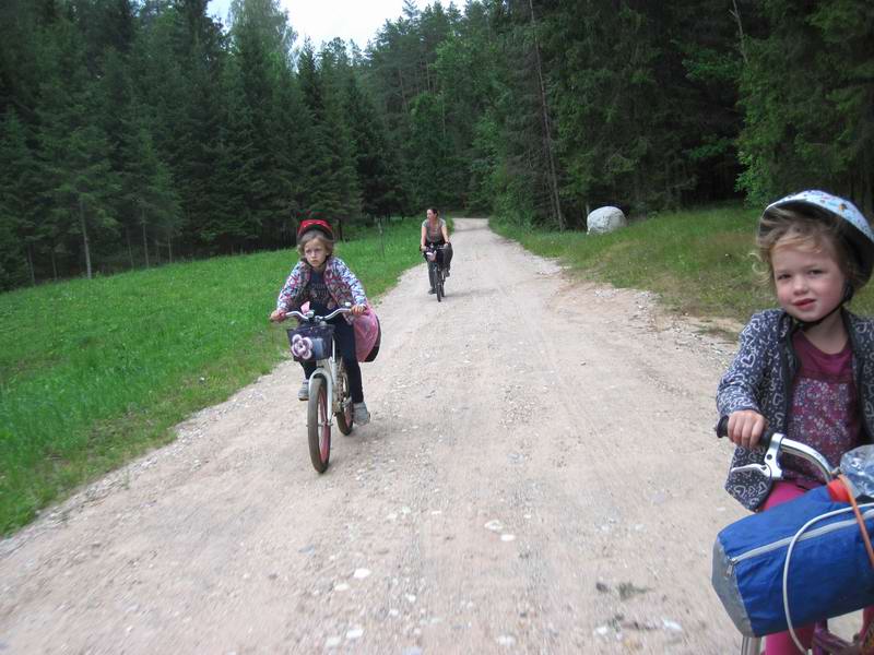 Едем по лесу