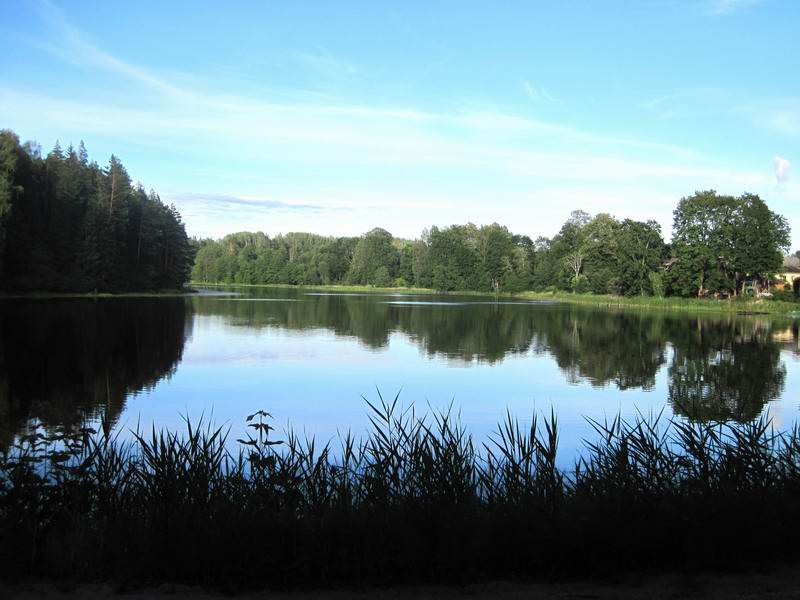 Озеро Пекша в Лиелстраупе