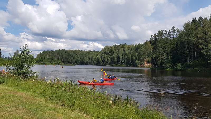 Их очень много. Они всё подходят и подходят