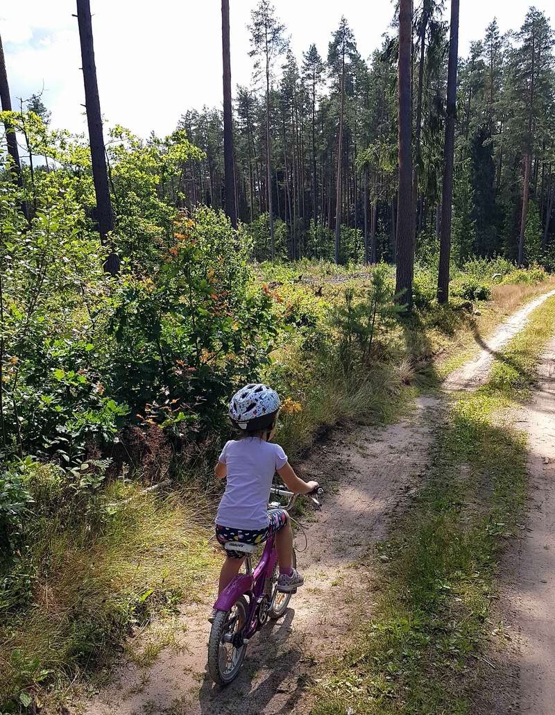 Но вскоре дорога стала лучше