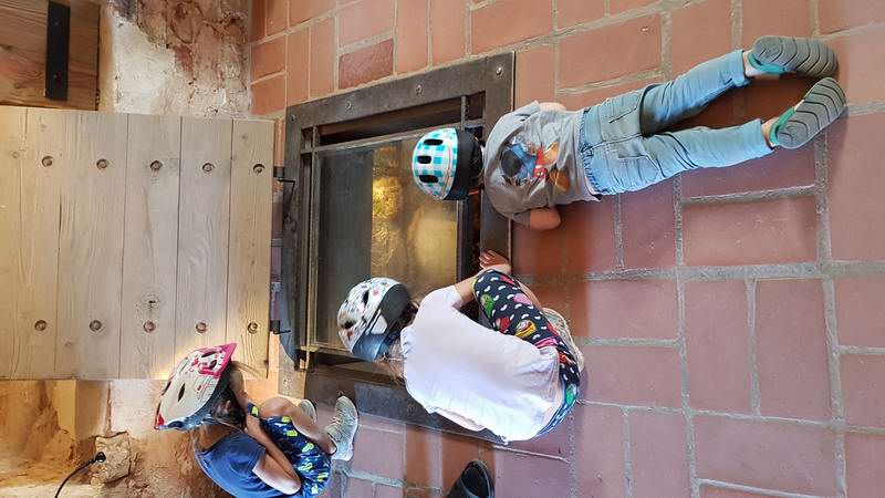 Окно в подземелье