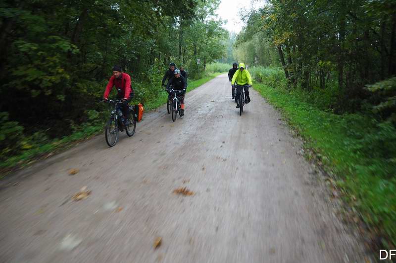 Въезжаем в Полесский лес