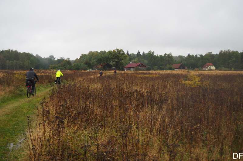 Домики на опушке леса в Богатово