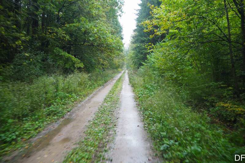 Прекрасная грунтовка