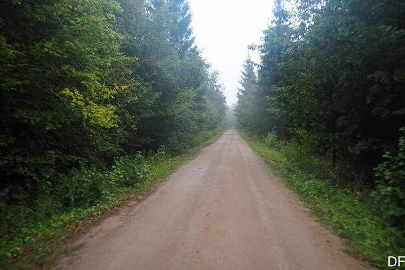 Рейтинг дороги растёт