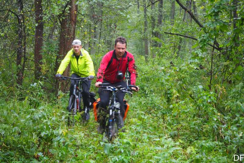Продрались через репейник. Едем дальше