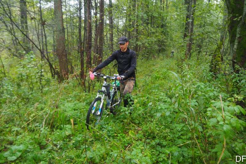 Илья Мошинский