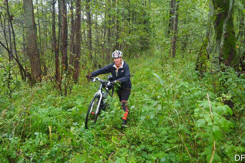 Ольга Соболева