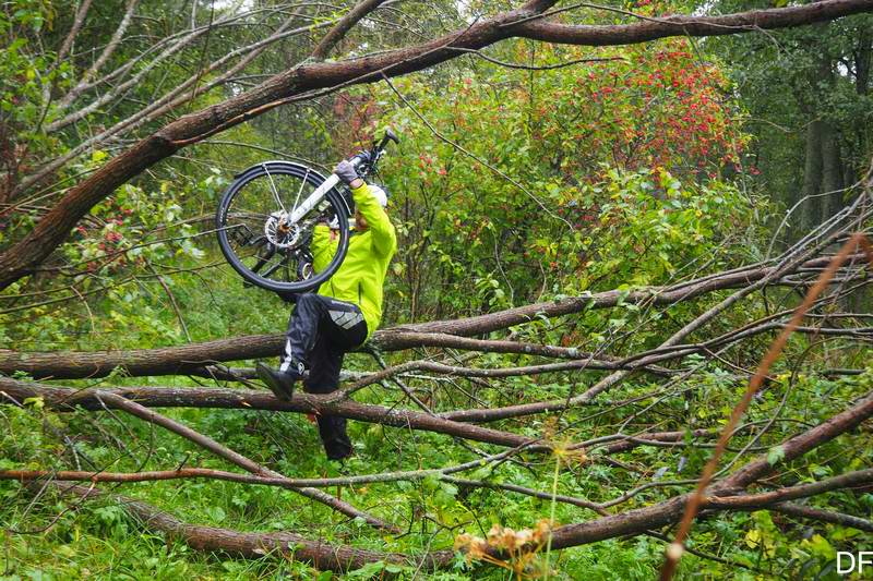 Всеволод Голубков преодолевает поваленное дерево