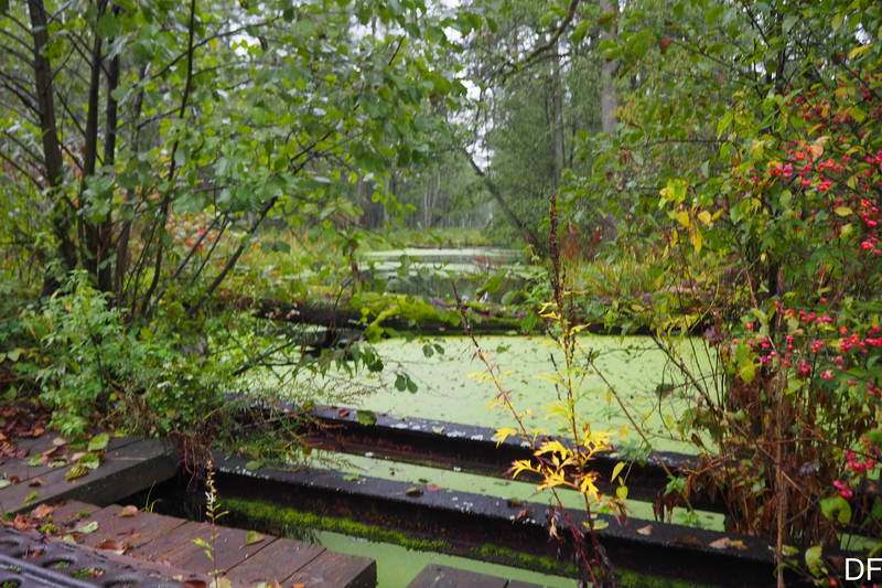 Канал какой-то