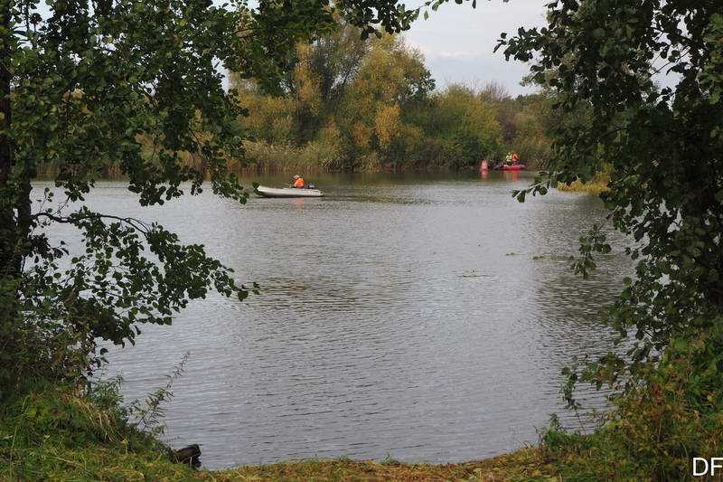 Оживлённое движение на водном перекрёстке
