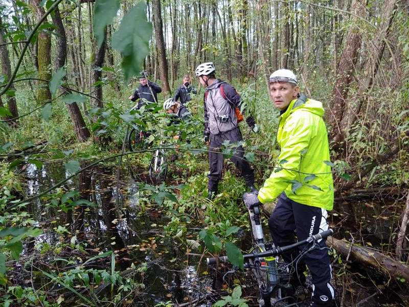 Пробираемся через болото