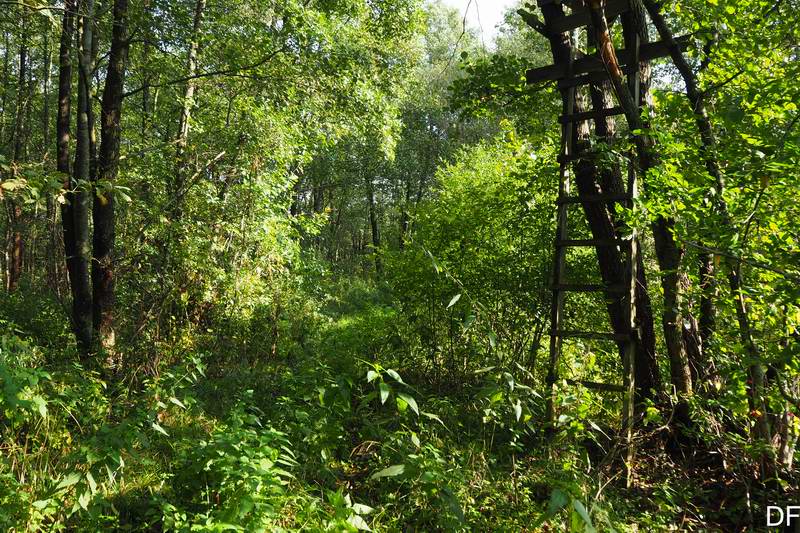 Выбрались на 'дорогу'