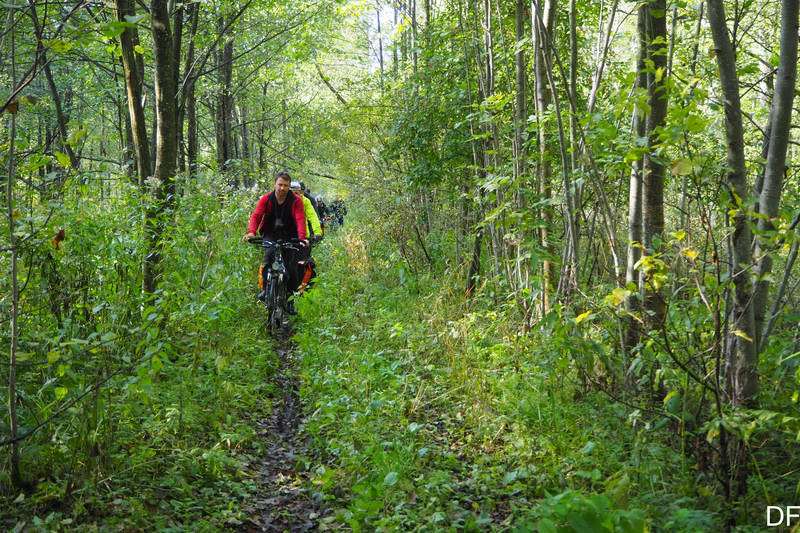 Едем через джунгли