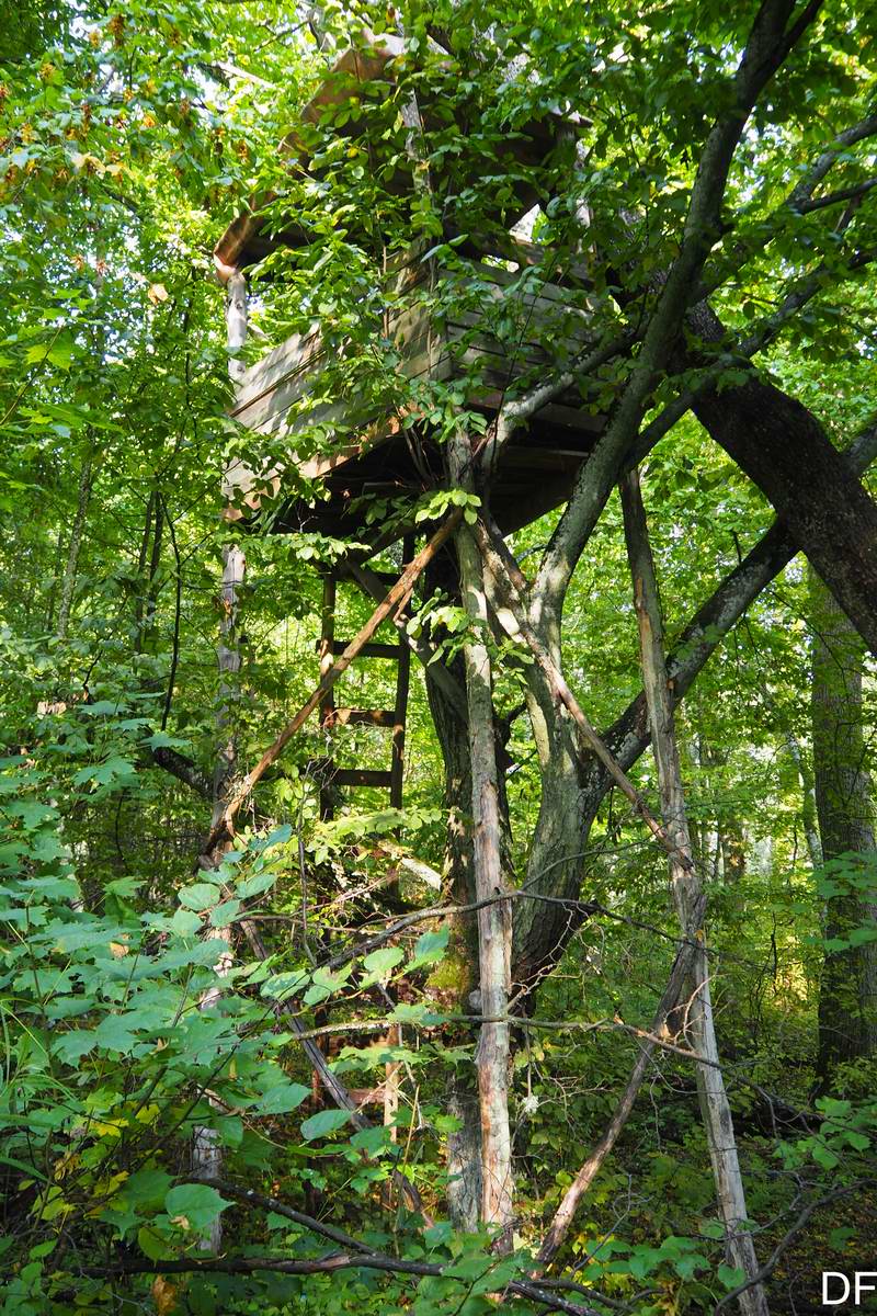 Ещё один домик