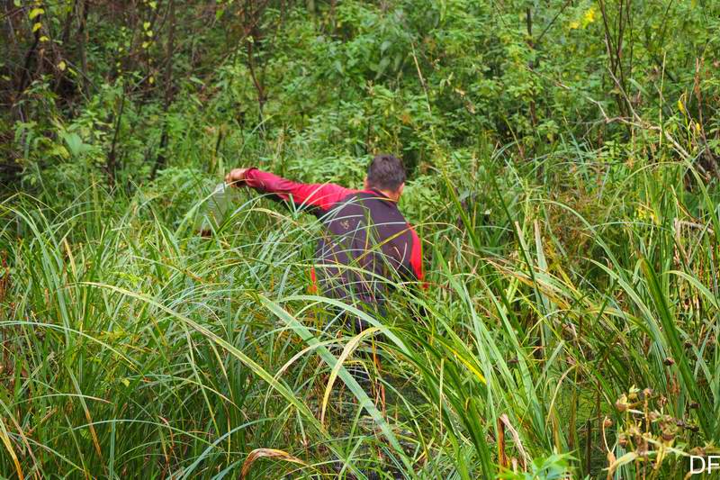 Сергей Мезенов выбирается из болота
