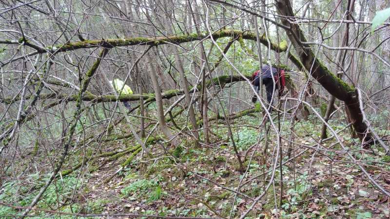 Пробираемся к мосту