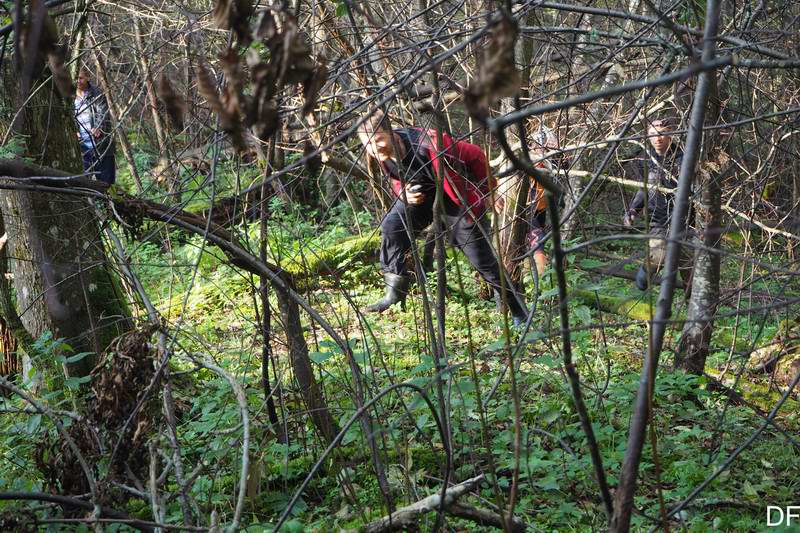 Идём обратно