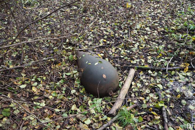 Артефакт в лесу