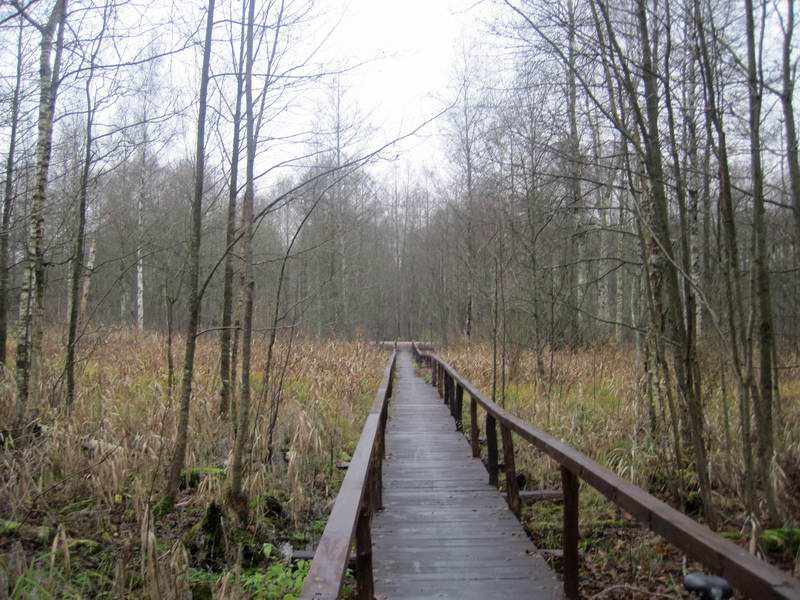 Поехали дальше