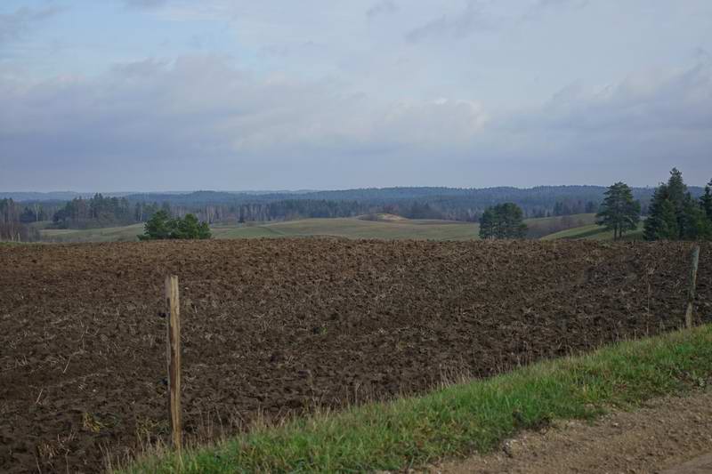 Жабояды вид в сторону Краснолесья