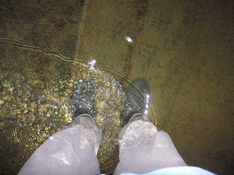 Вот такой уровень воды