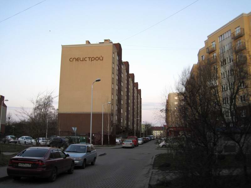 Каменные джунгли