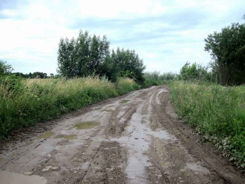 Немного грязи. Местные навозовозы подпортили дорогу