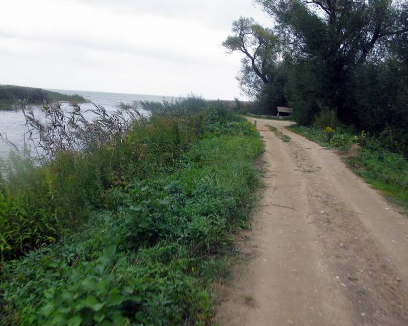 Выезжаем к заливу